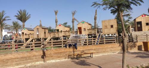 IMG-20250217-WA0069