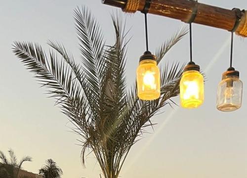 تم-مسحه-ضوئيًا 20250114-1420-٠٥